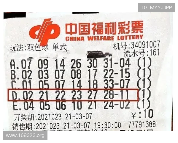 深入解析8033彩娱乐的独特魅力与娱乐价值